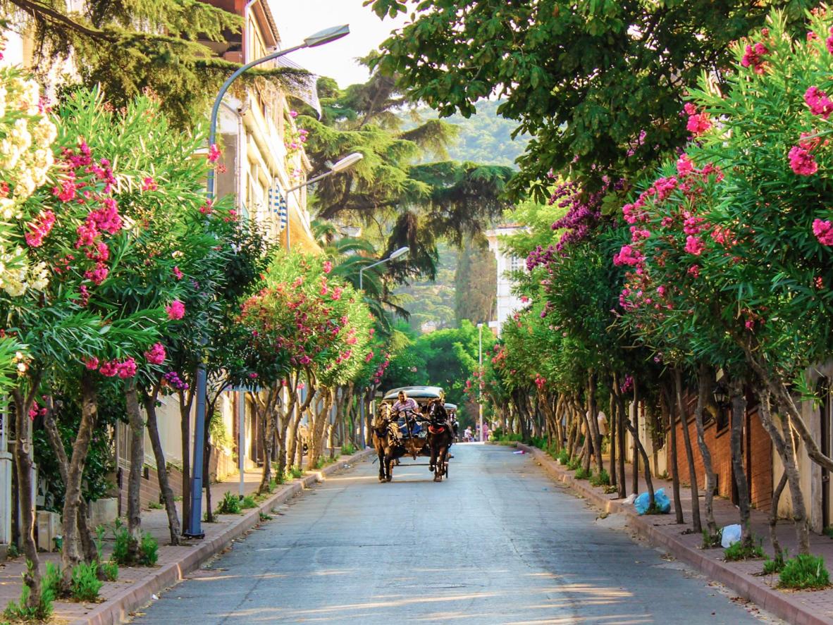 Turkey's most beautiful islands